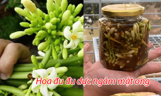 Cách ngâm hoa đu đủ đực với mật ong đơn giản